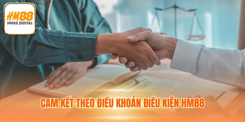Cam kết theo điều khoản điều kiện HM88
