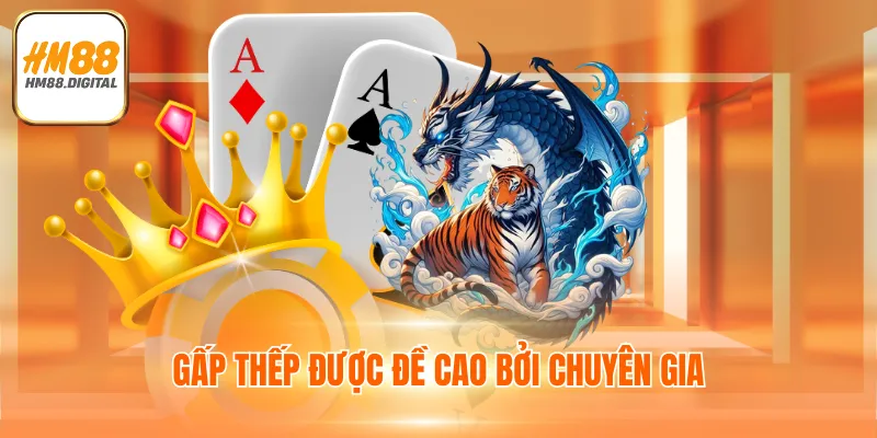 Game Bài Rồng Hổ - Cá Cược Dễ Dàng, Nhận Thưởng Lớn 4 Chiến thuật gấp thếp giúp thành viên chiến thắng 100%
