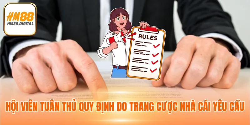 Hội viên tuân thủ quy định do trang cược nhà cái yêu cầu